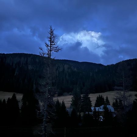 Вилла Almhaus Zirbenheim Nicolina Flattnitz Экстерьер фото