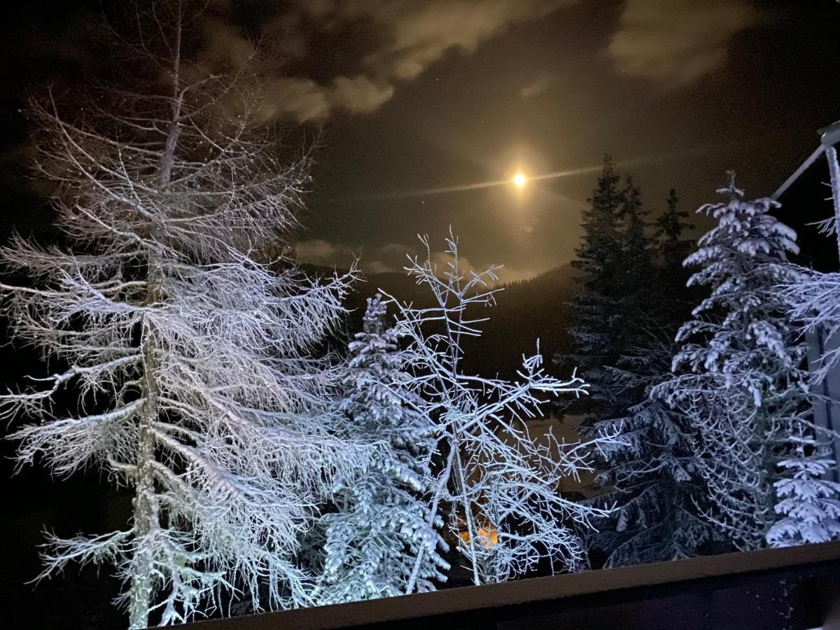 Вилла Almhaus Zirbenheim Nicolina Flattnitz Экстерьер фото